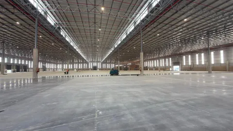 WhatsApp Image 2026-02-03 at 17.12.36.